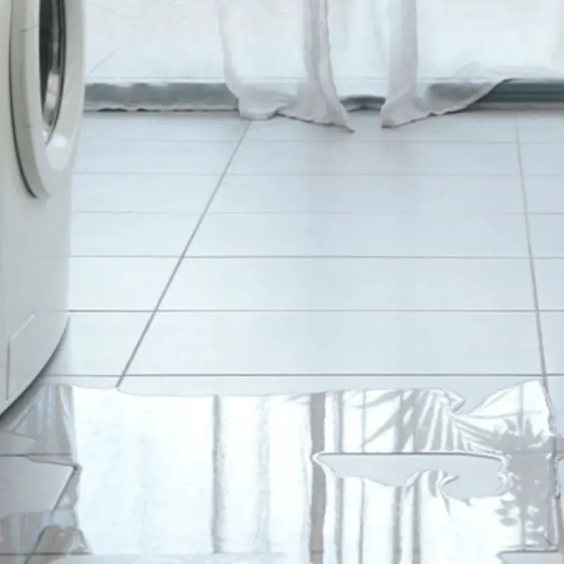 Appliance Leak Cleanup in Marks, MS