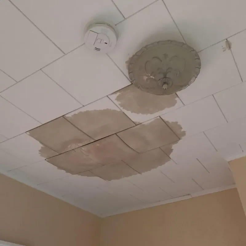 Ceiling Water Damage Repair in Marks, MS