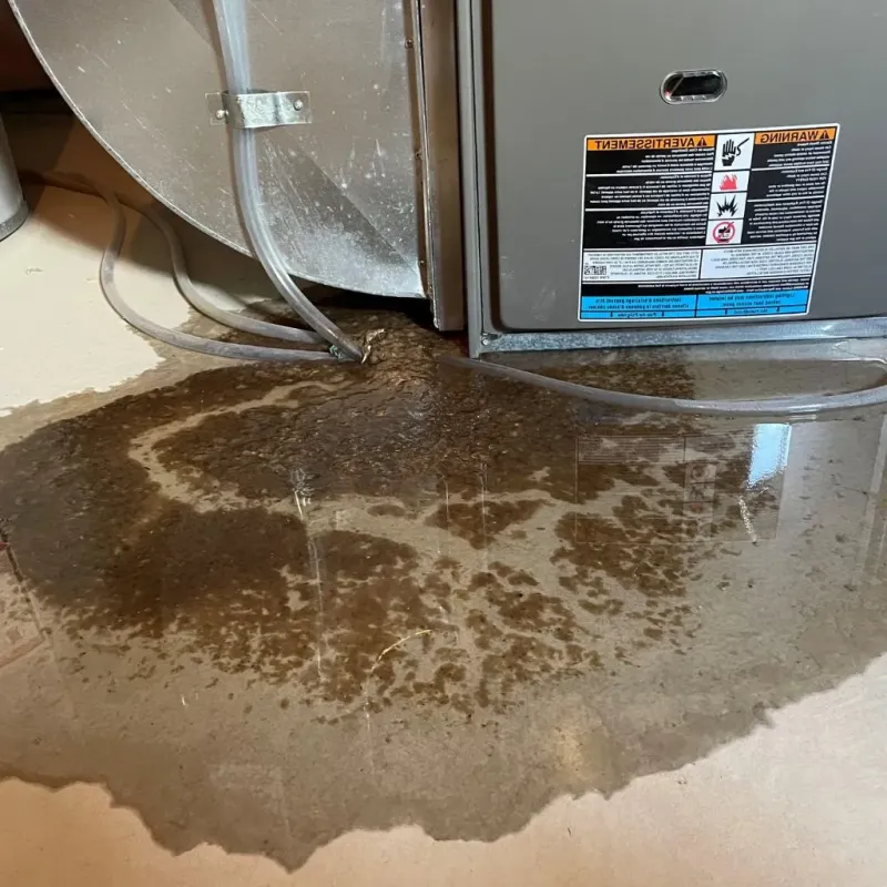 Pipe Burst and Leak Restoration in Marks, MS