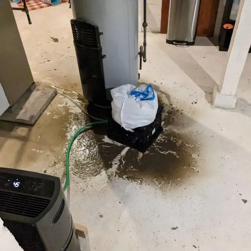 Sewage Backup Cleanup Service in Marks, MS